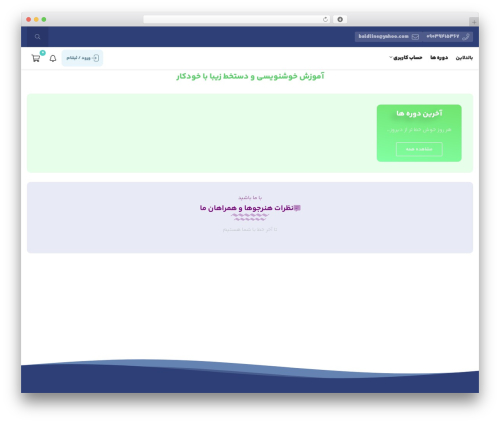 Studiare core WordPress plugin - baldline.com