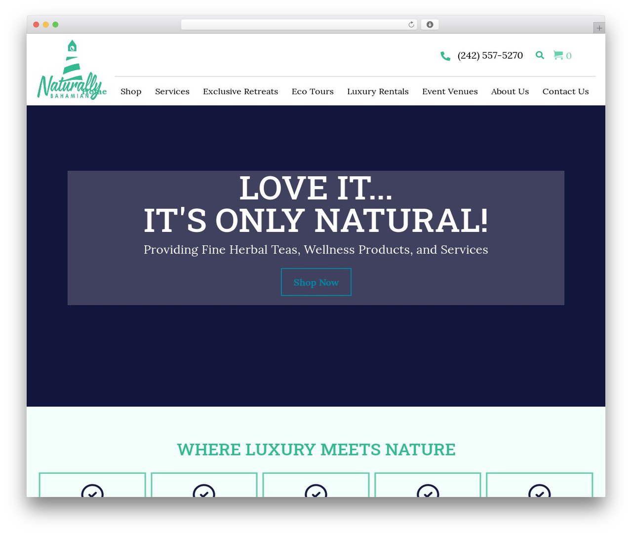 Beaver Builder Theme WordPress theme - naturallybahamian.com Beaver Builder Theme WordPress theme - naturallybahamian.com