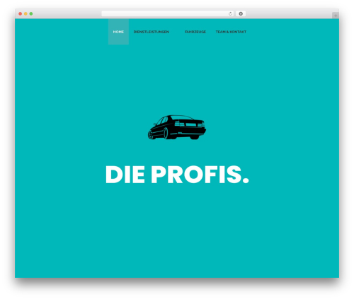 AMO Team Showcase (amo-team-showcase) free WordPress plugin - sins-cars.ch