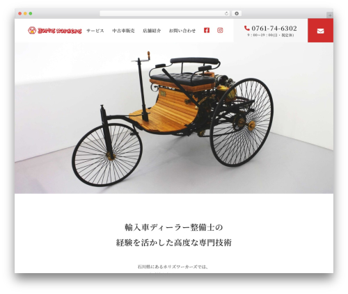Themify Basic WordPress theme - h-workers.com