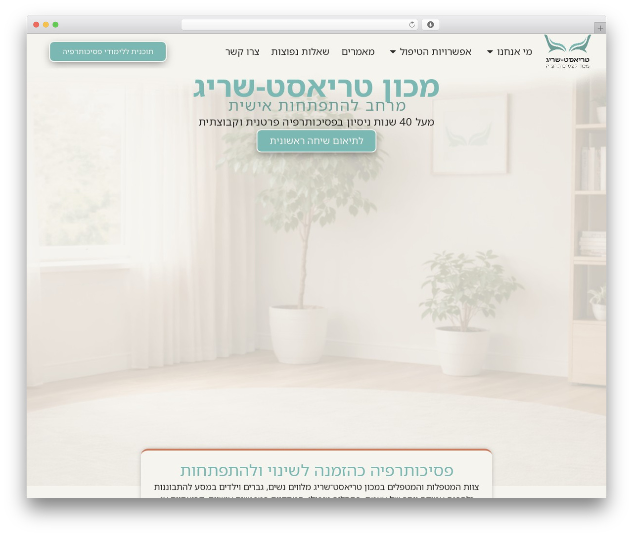 WordPress theme Hello Elementor - triest-sarig.co.il