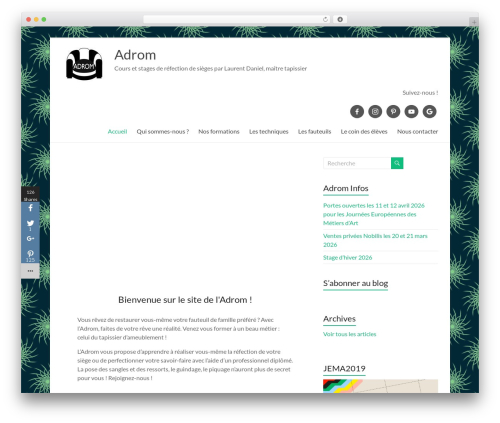Easy Social Sharing (easy-social-sharing) free WordPress plugin - www.adrom-tapissier.com Easy Social Sharing (easy-social-sharing) free WordPress plugin - www.adrom-tapissier.com