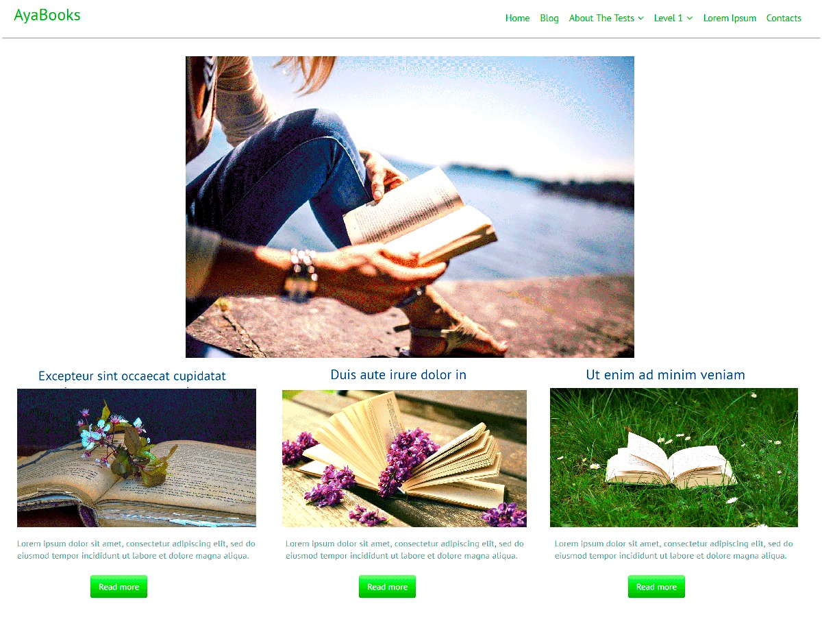 AyaBooks personal WordPress theme