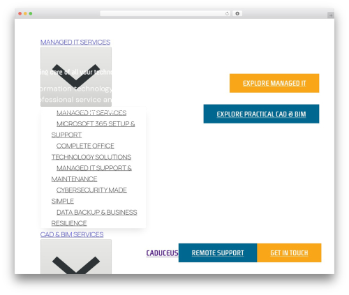 Bricks theme WordPress - caduceus.co.nz