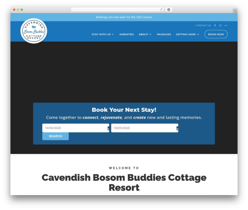Divi WordPress theme - cavendishbosombuddies.com