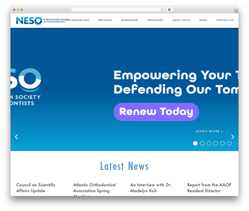 Pdf flipbook heyzine WordPress plugin - neso.org