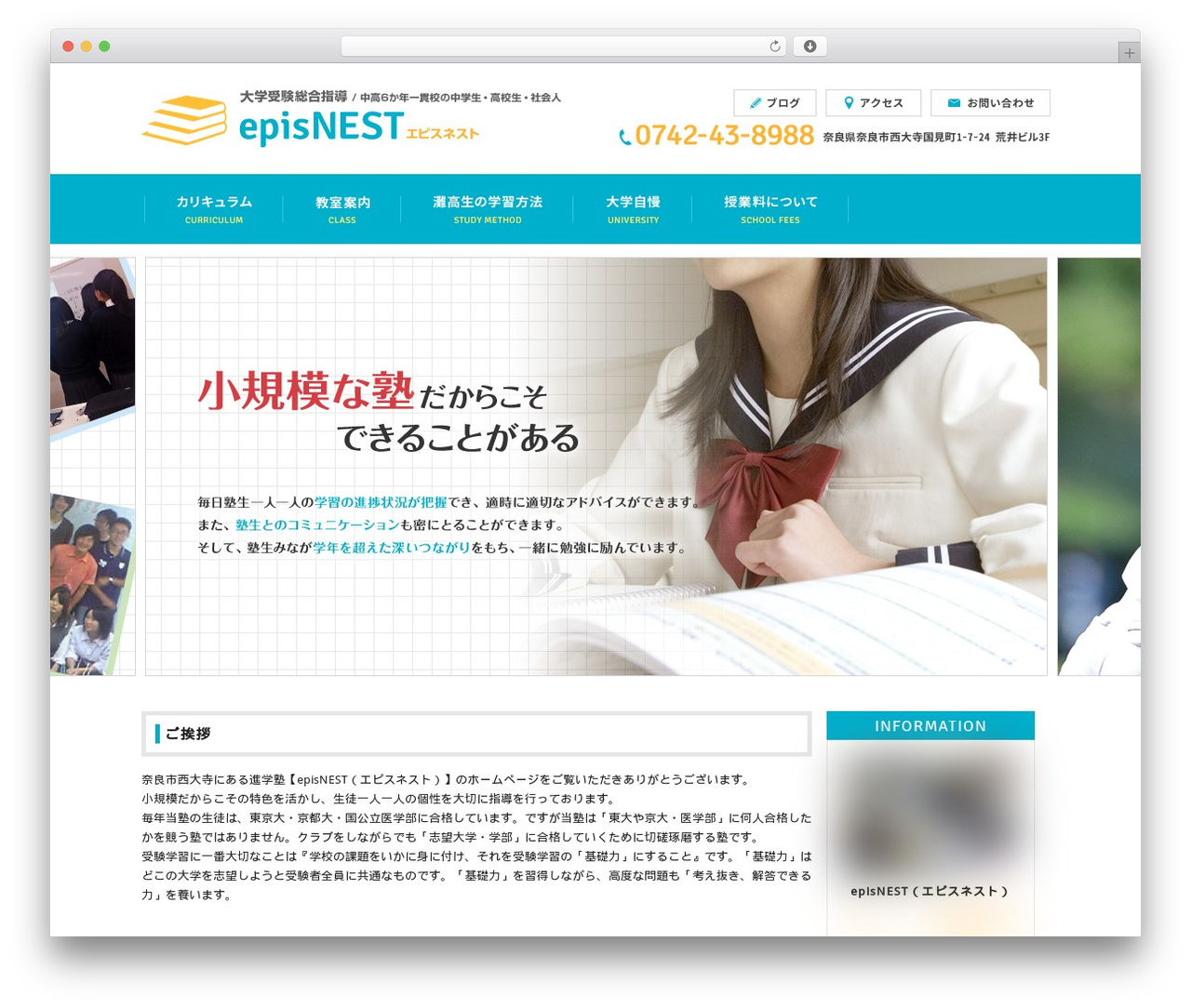 Theme WordPress Themify Basic - episnest.com
