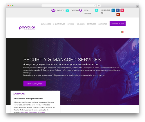 Divi mobile WordPress plugin - pontualsolutions.com