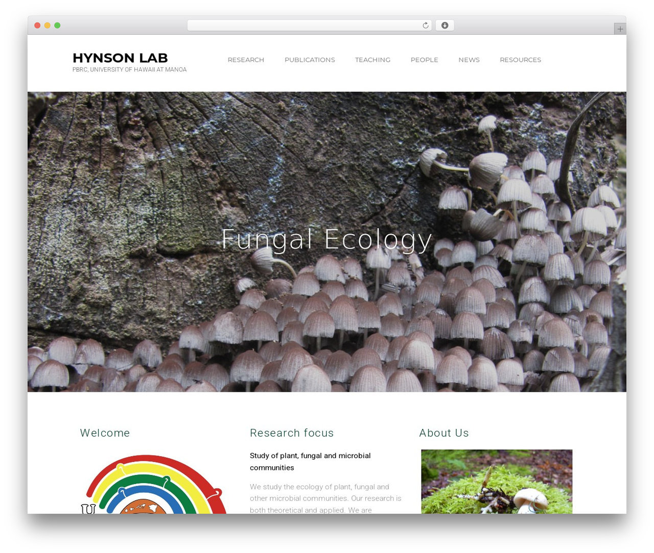 Optimizer PRO theme WordPress - hynsonlab.com Optimizer PRO theme WordPress - hynsonlab.com