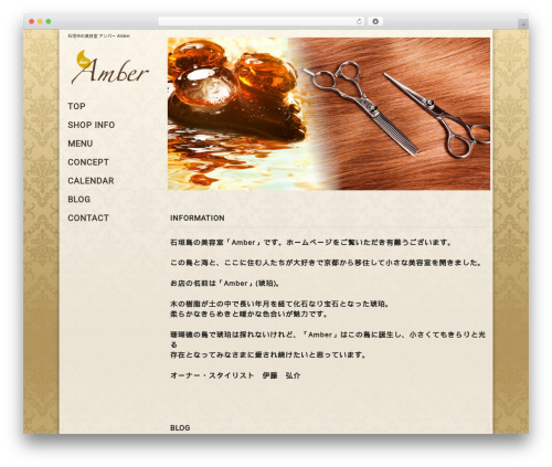 Documentalist WordPress plugin - hair-amber.com