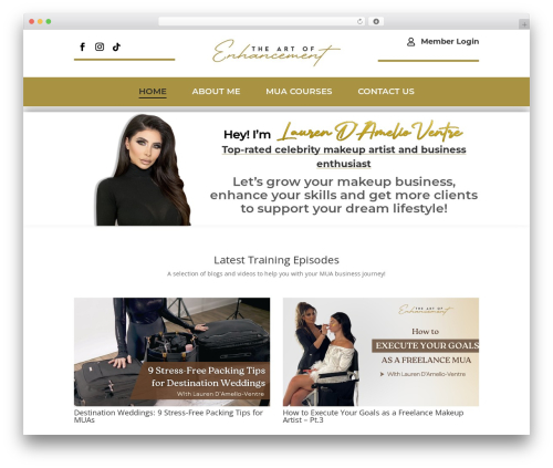 WP Social Comments (gs-facebook-comments) free WordPress plugin - theartofenhancement.com