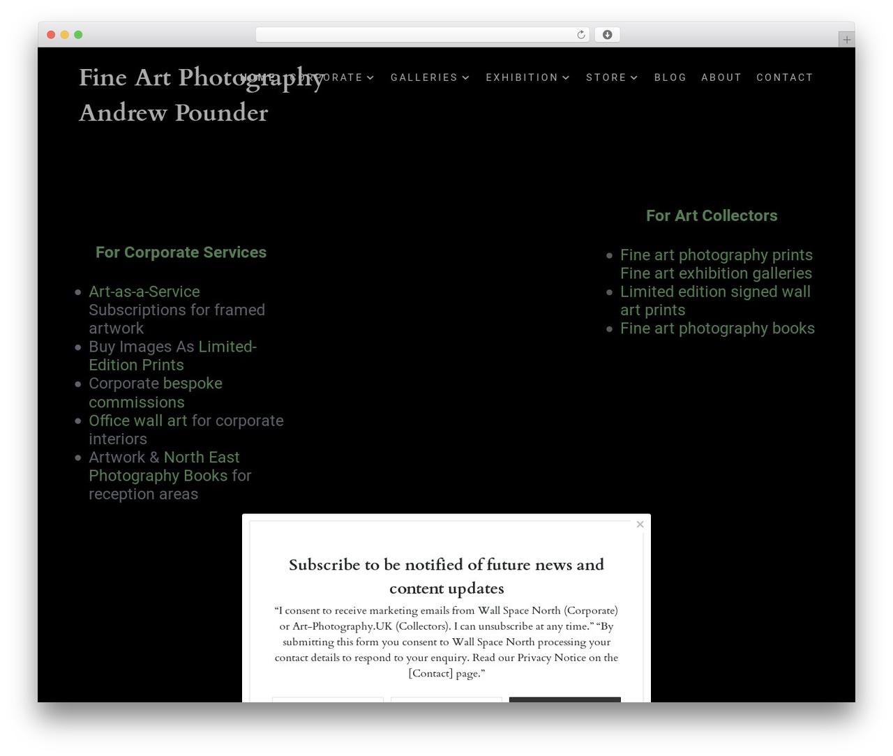 Flatbase garden WordPress theme - art-photography.uk
