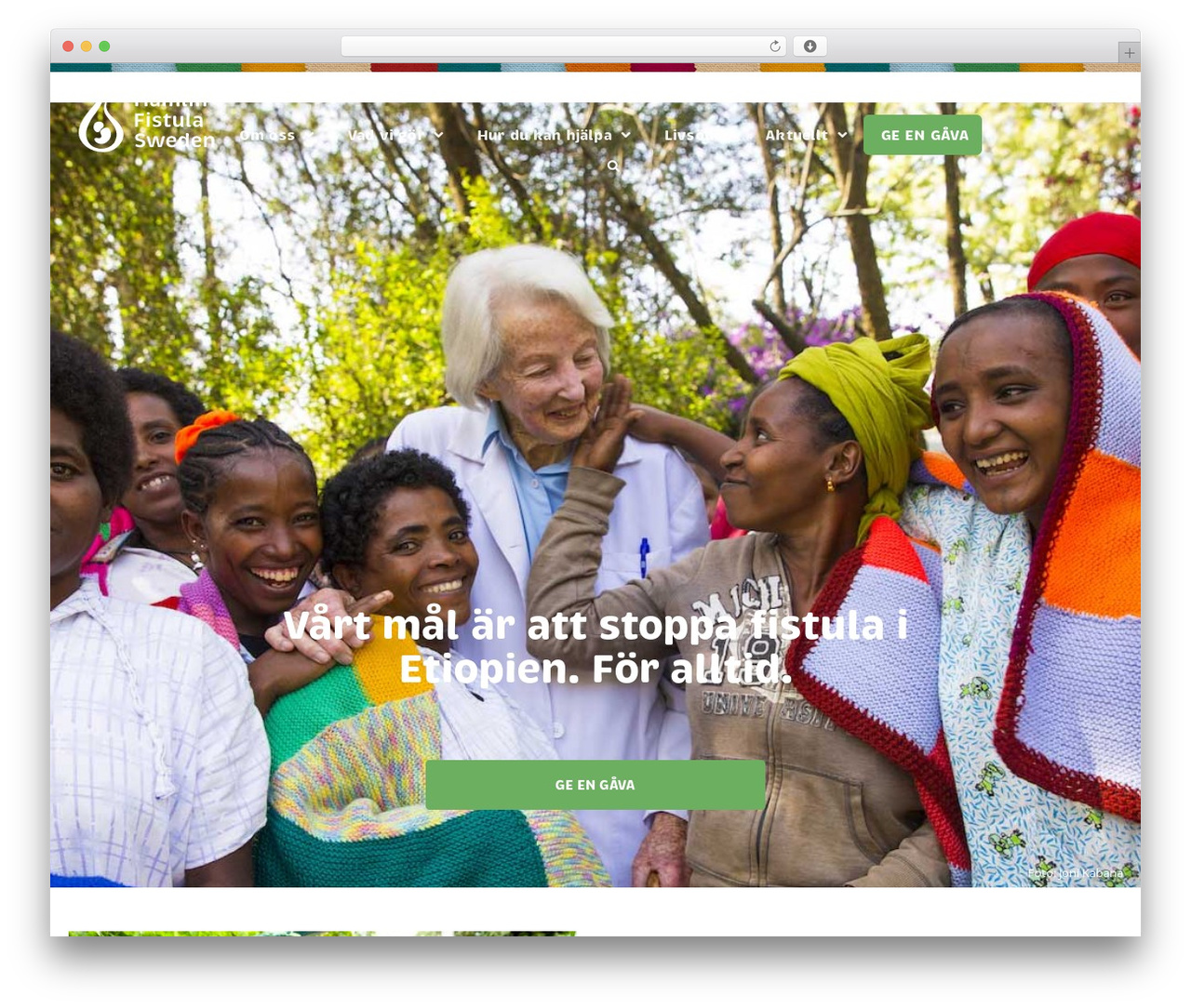 Hello Elementor WordPress theme - fistulasjukhuset.org