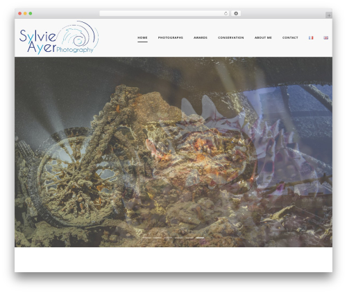 Nextgen gallery plus WordPress plugin - sylvieayer.com