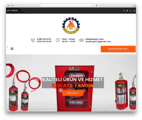 WordPress website theme WT API - ataysc.com