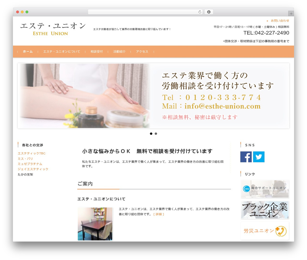 FSVBASIC top WordPress theme - esthe-union.com