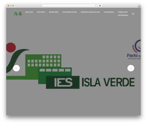 Litho addons WordPress plugin - iesislaverde.es