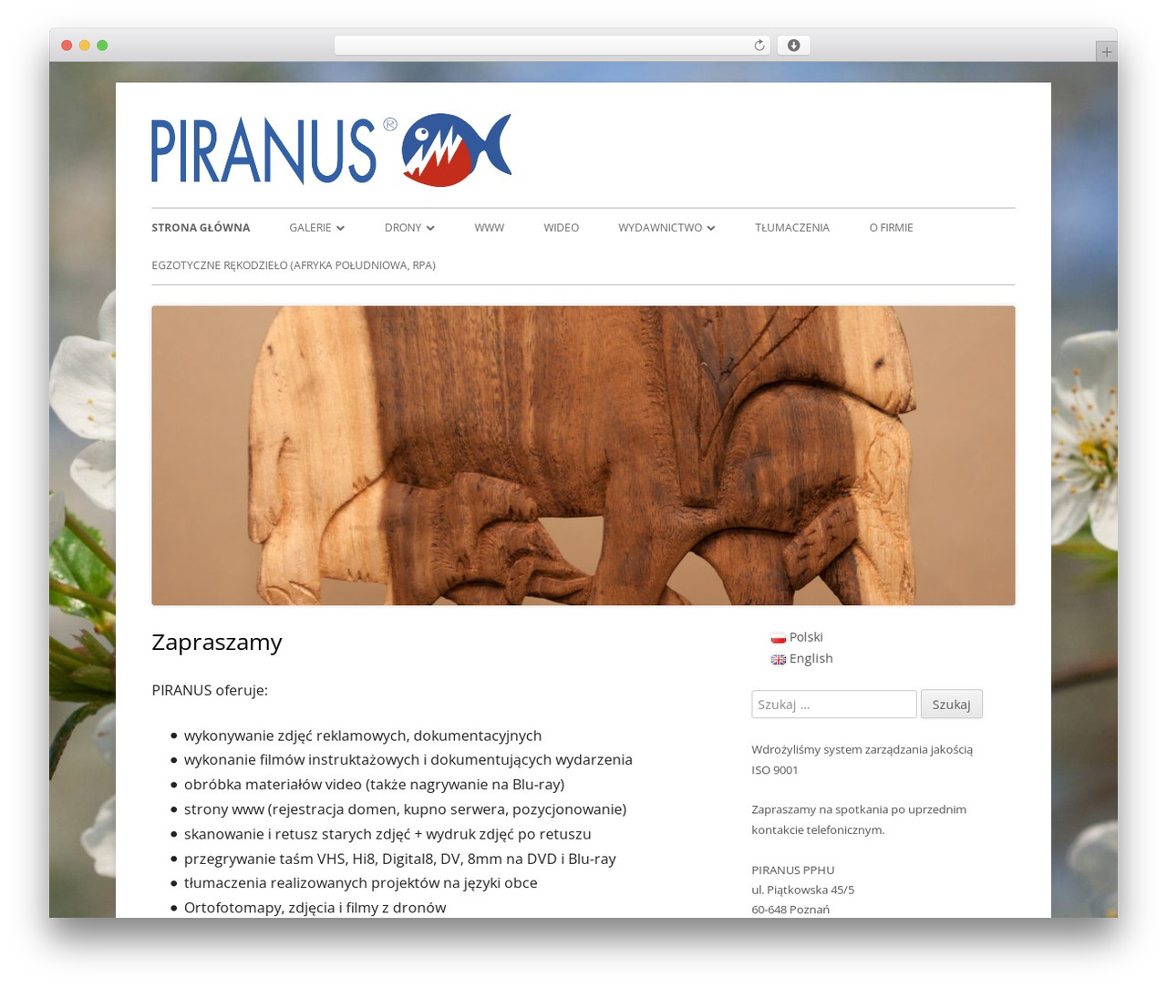 Tiny Framework free WordPress theme - piranus.com