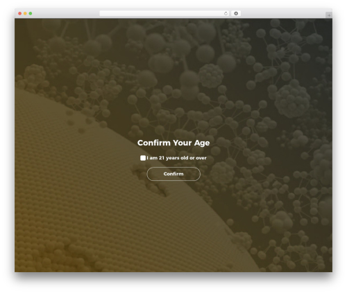 Age checker WordPress plugin - hightechlabs.com
