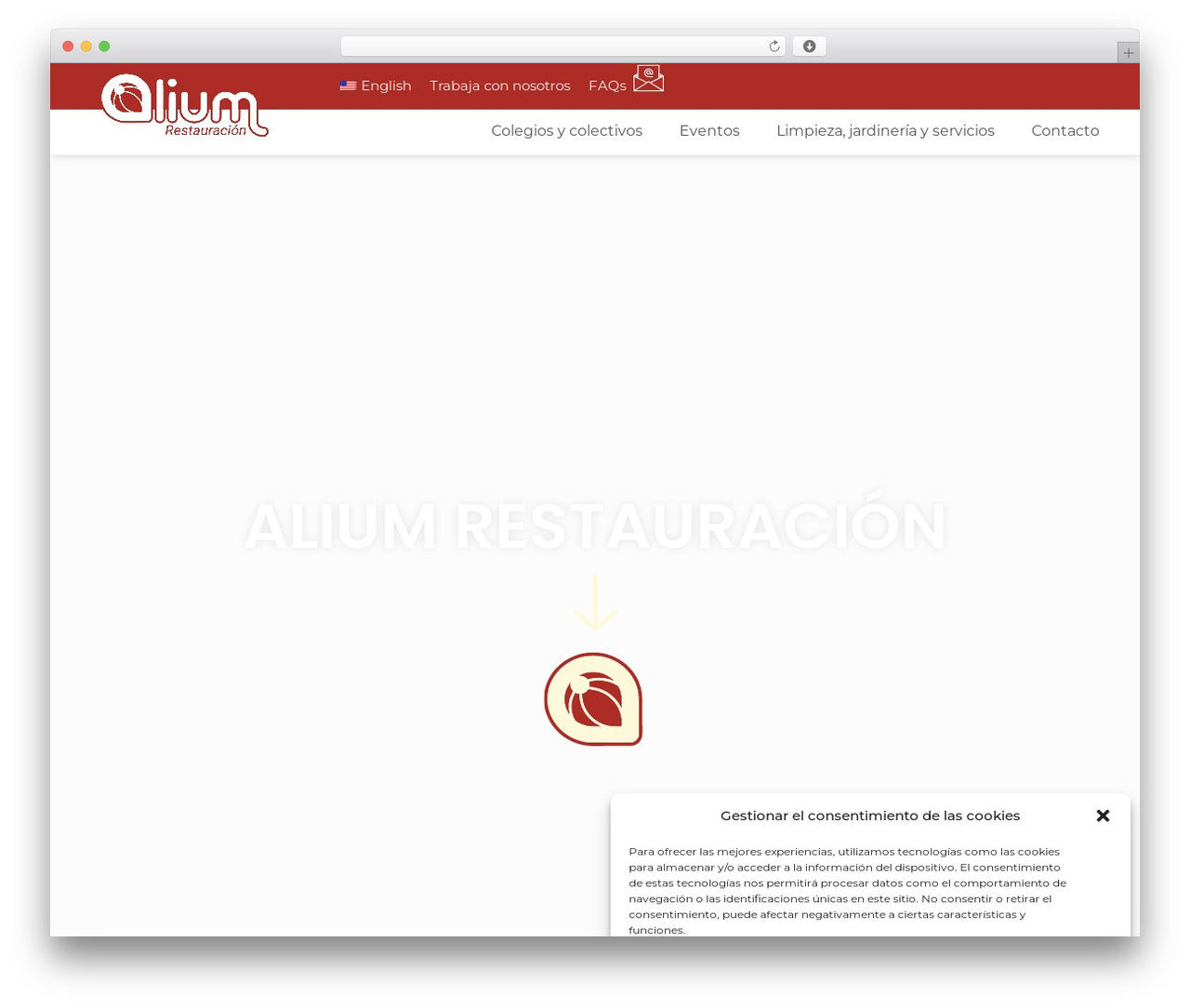 WordPress theme Hello Elementor - aliumrestauracion.com
