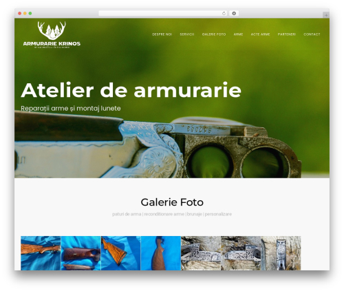 WordPress theme Wanium - reparatiiarme.ro