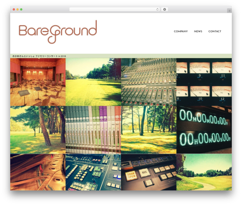 Berg WordPress theme - bare-ground.com