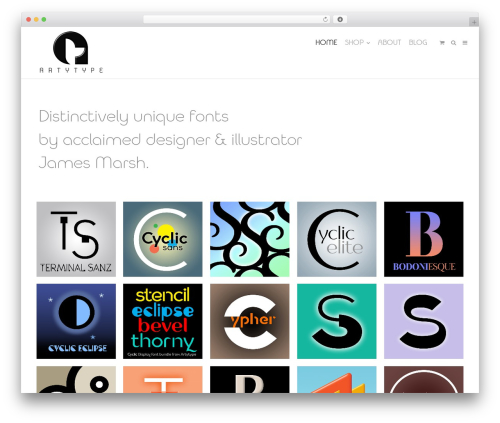Create WordPress shop theme - arty-type.com