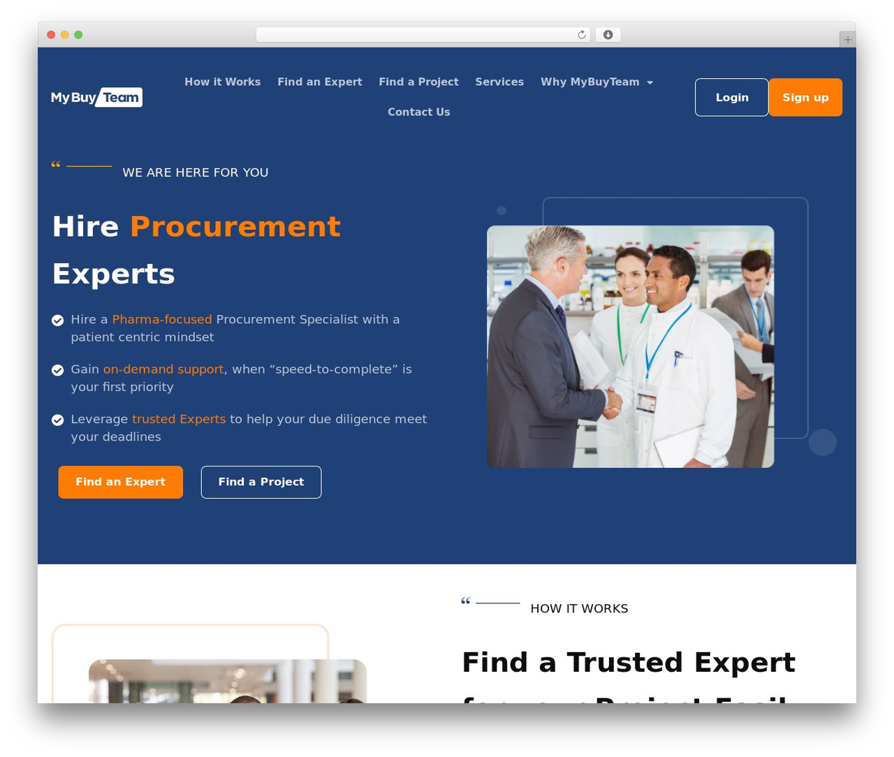 Hello Elementor theme WordPress - mybuyteam.com Hello Elementor theme WordPress - mybuyteam.com