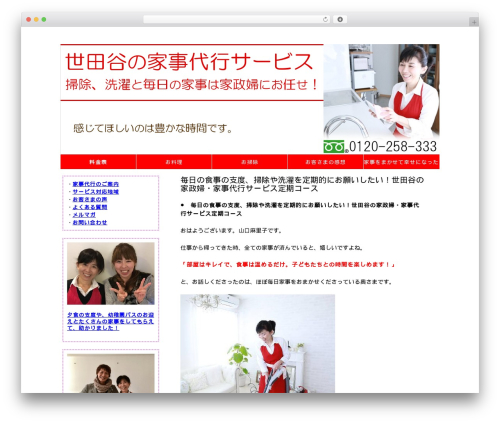 simple WP WordPress theme - setagayakaji.com