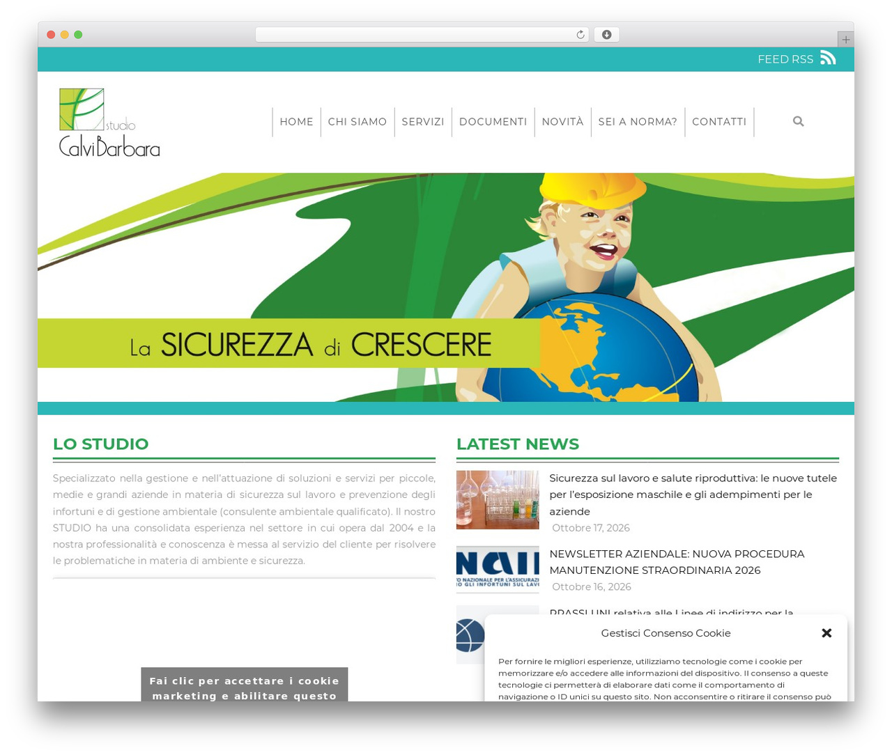 WordPress theme Structure - studiobarbaracalvi.com