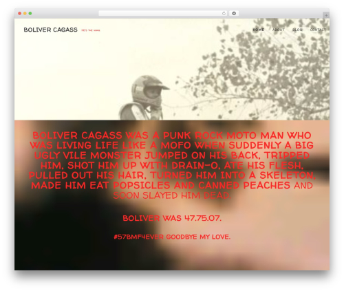 WordPress website theme Teletype Plus - bolivercagass.com