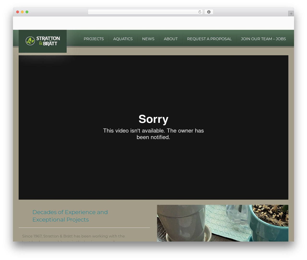 constructo garden WordPress theme - strattonandbratt.com constructo garden WordPress theme - strattonandbratt.com