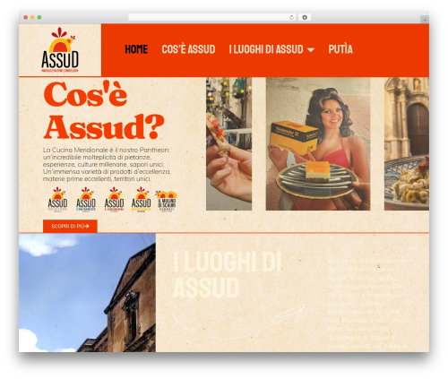 Qode wishlist for woocommerce WordPress plugin - assud.eu