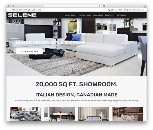 Reach Local WP theme - selenefurniture.com