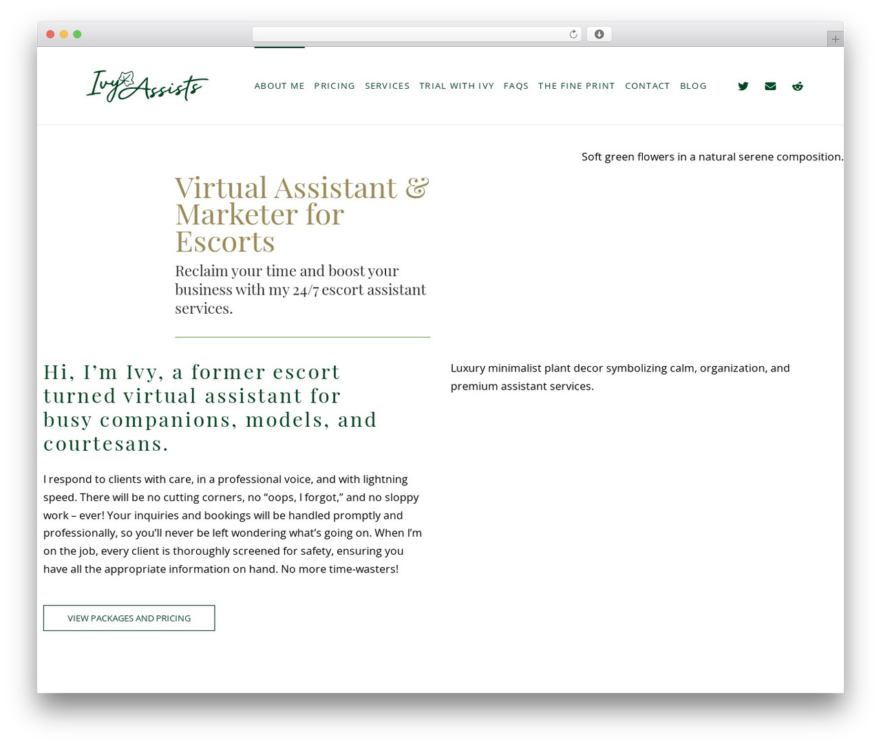 Spring Plant theme WordPress - ivyassists.ch
