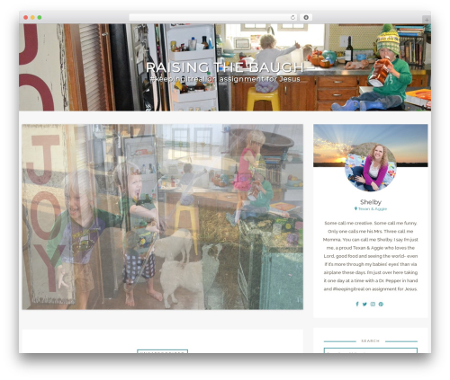 Theme WordPress journey - raisingthebaugh.com