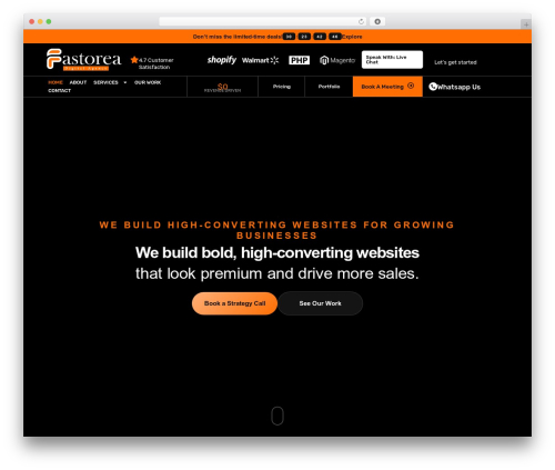 WordPress theme Darkyn - agency.fastorea.com