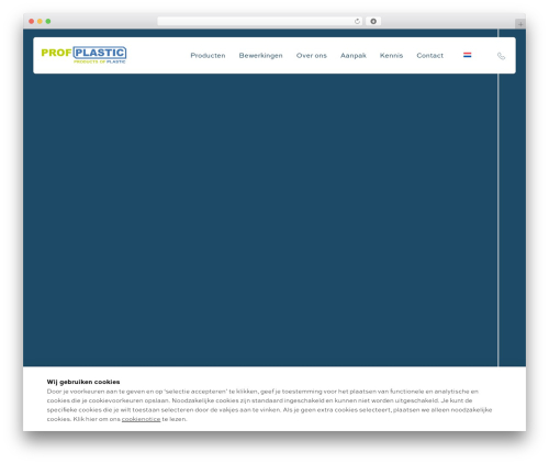 WordPress theme Profplastic - profplastic.com