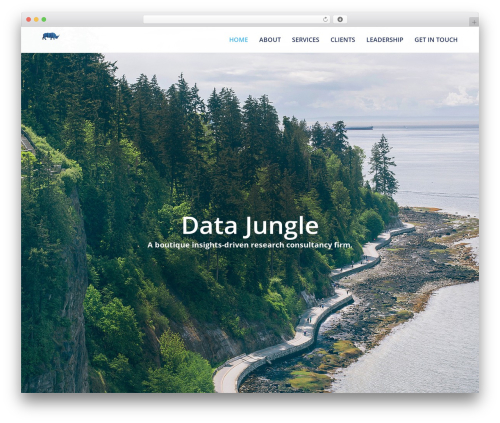 WordPress theme Pulse - thedatajungle.com
