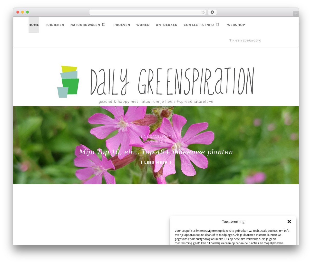 WordPress website theme Activello - dailygreenspiration.com WordPress website theme Activello - dailygreenspiration.com
