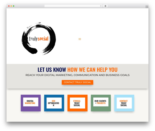 Divi WordPress theme - trulysocial.media