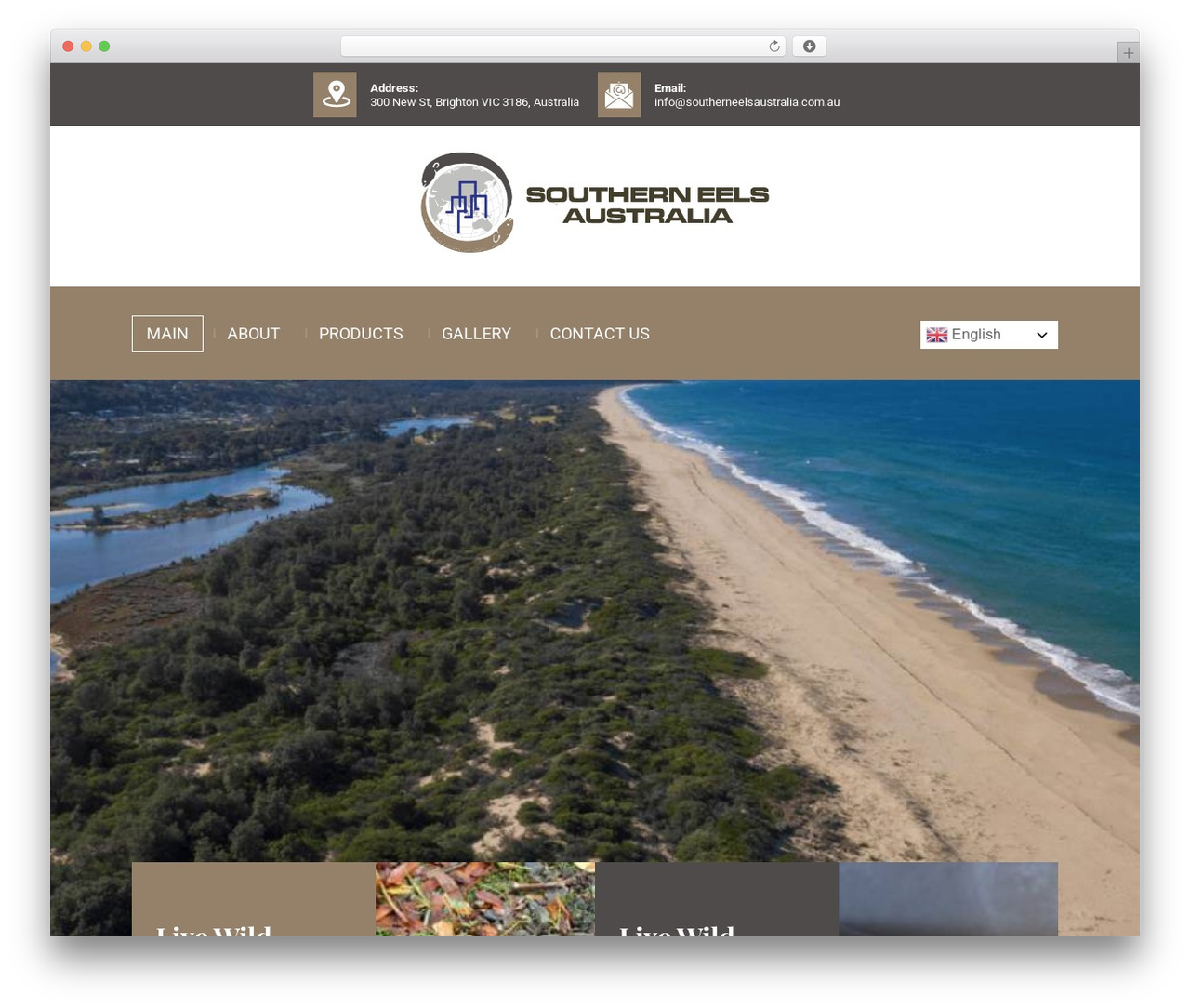 Southern Eels Australia WordPress theme - southerneelsaustralia.com.au Southern Eels Australia WordPress theme - southerneelsaustralia.com.au