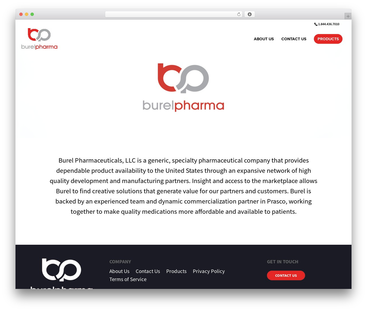 Divi WordPress theme - burelpharma.com