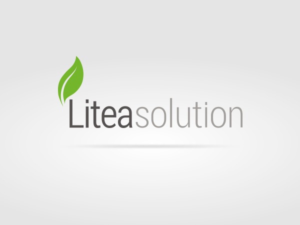 Litea theme WP theme Litea theme WP theme