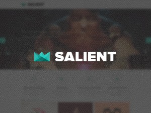 Salient (shared on wplocker.com) WordPress theme