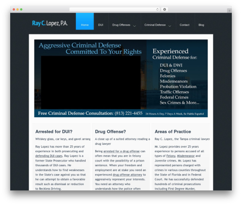 WordPress Theme 1283 WordPress theme - thetampacriminallawyer.com
