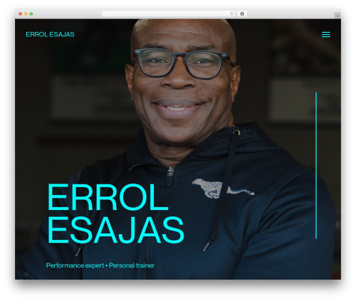 WordPress theme Sam Bailey - errolesajas.nl