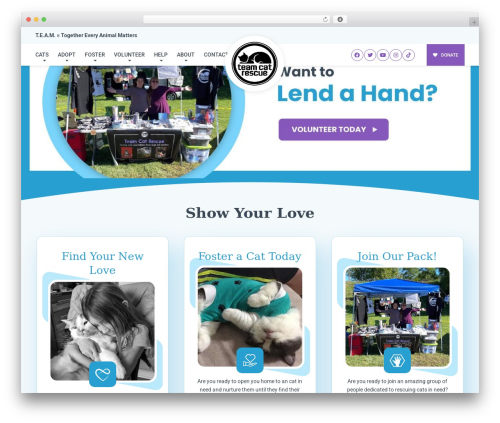 WP theme Buzz To The Rescues - teamcatrescue.com