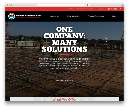 Custom WordPress Theme - Stellar Blue Technologies premium WordPress theme - augustwinter.com