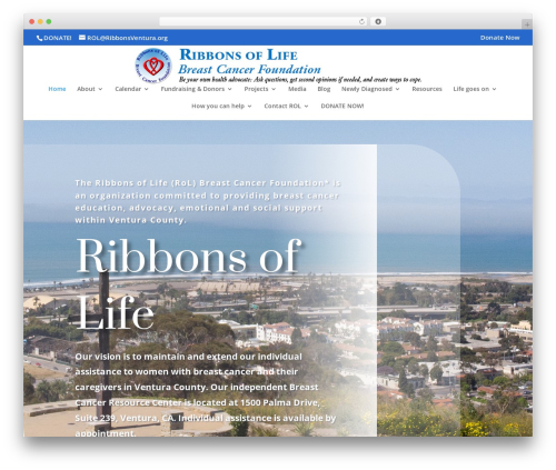 Divi WordPress theme - ribbonsventura.org